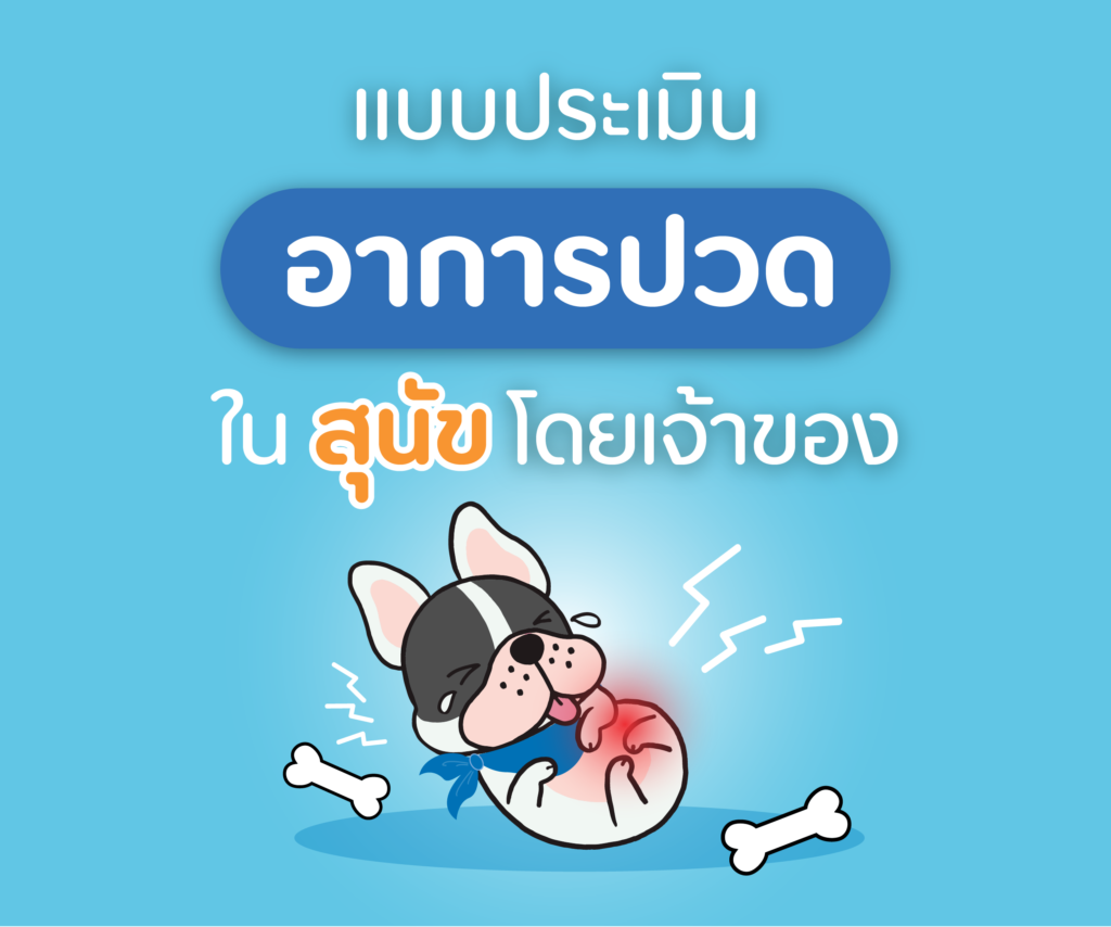 แบบประเมิน