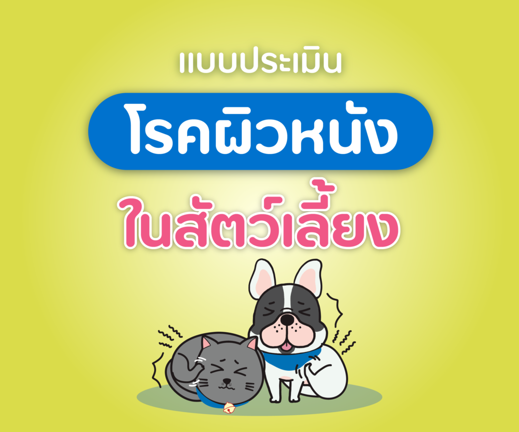 แบบประเมิน